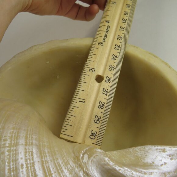 Faux Sea shell light pink & cream some iridescences  9" long 5" tall - Picture 9 of 12